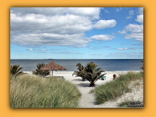 Palmenstrand Frederikshavn (2).jpg